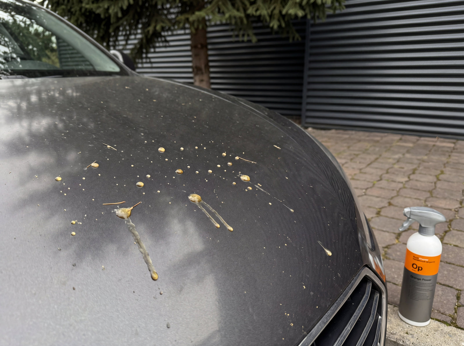 Motorhaube mit scattered Baumharz-Tropfen und Rinnspuren, Koch-Chemie Orange Power auf dem Pflaster
